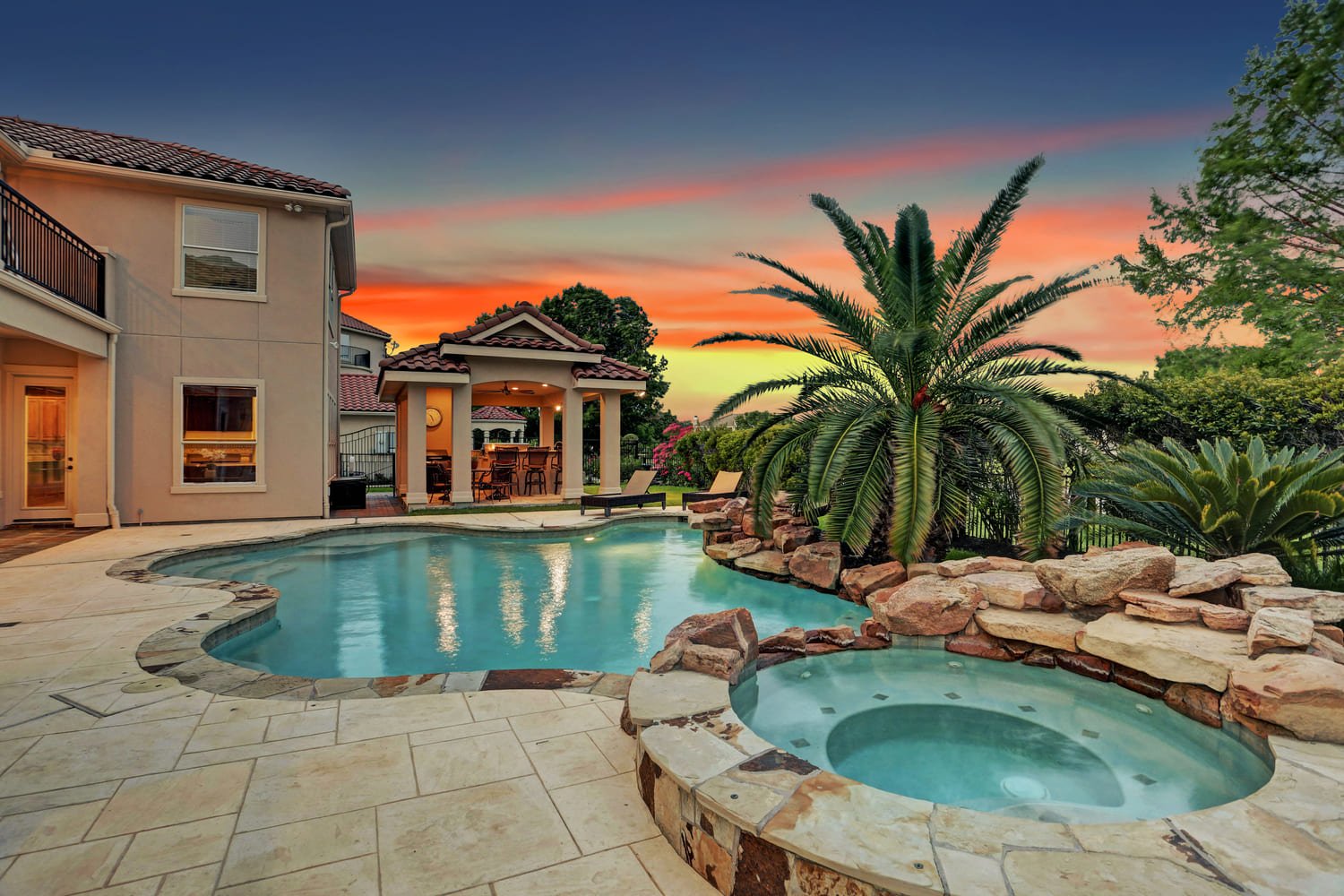 Cresent Palm image 1